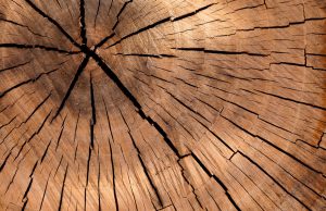 Duurzame houten vloer Haren