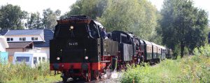 Visgraat vloeren Apeldoorn