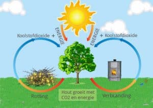 duurzame houten vloer