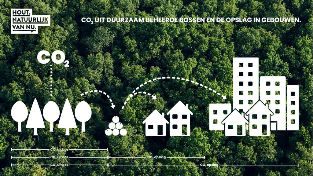 CO-2 opslag in hout